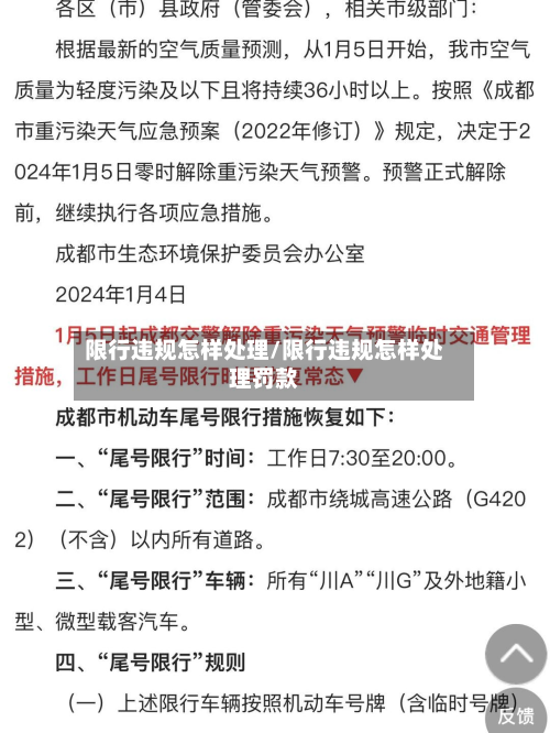 限行违规怎样处理/限行违规怎样处理罚款-第2张图片