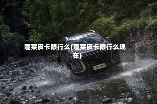蓬莱皮卡限行么(蓬莱皮卡限行么现在)