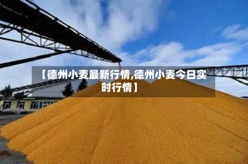 【德州小麦最新行情,德州小麦今日实时行情】