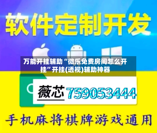 万能开挂辅助“微乐免费房间怎么开挂	”开挂(透视)辅助神器-第2张图片