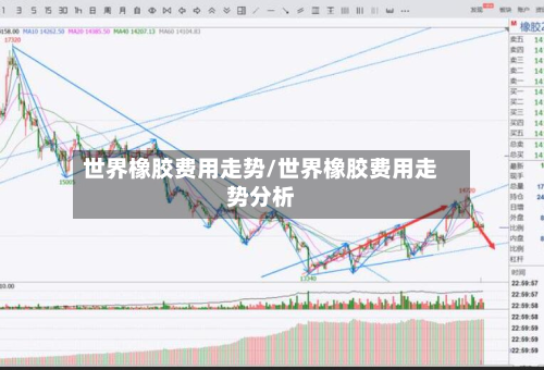 世界橡胶费用走势/世界橡胶费用走势分析