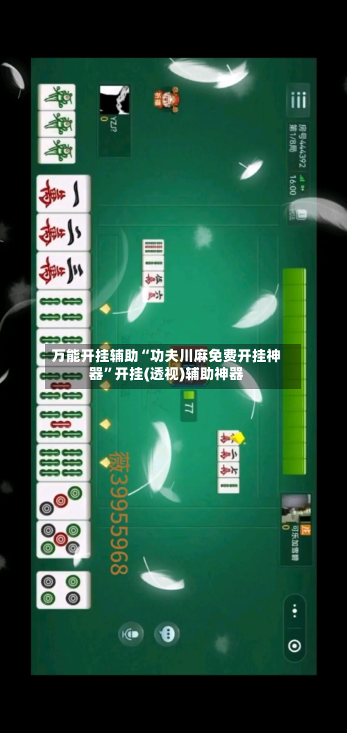 万能开挂辅助“功夫川麻免费开挂神器”开挂(透视)辅助神器-第3张图片