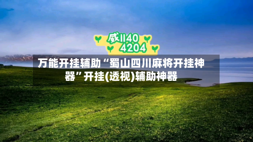 万能开挂辅助“蜀山四川麻将开挂神器”开挂(透视)辅助神器-第2张图片
