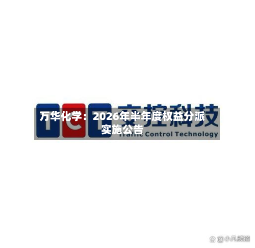 万华化学：2026年半年度权益分派实施公告-第3张图片