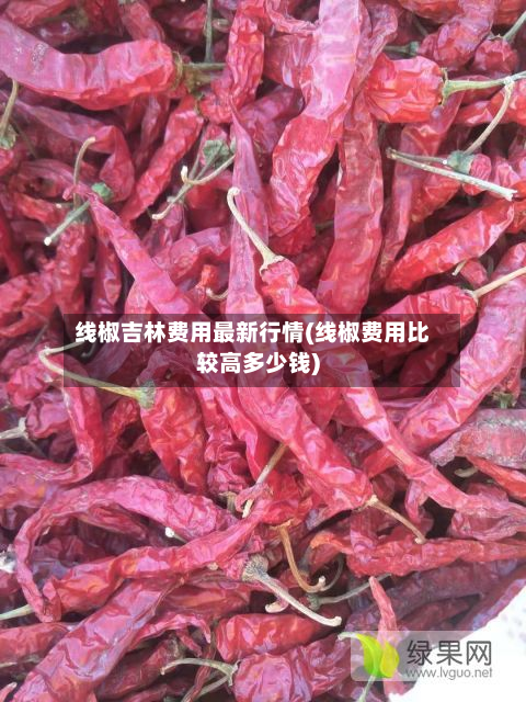 线椒吉林费用最新行情(线椒费用比较高多少钱)-第2张图片