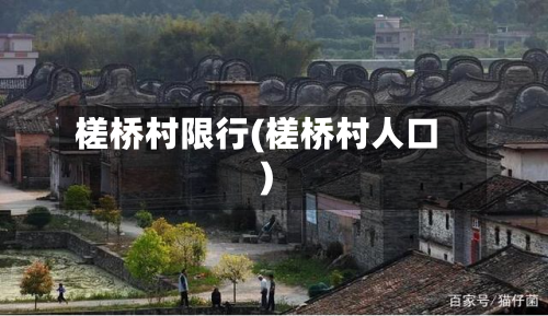 槎桥村限行(槎桥村人口)