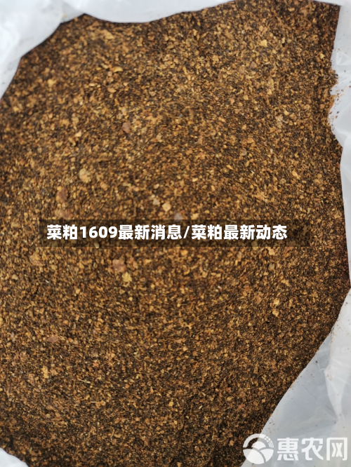 菜粕1609最新消息/菜粕最新动态-第2张图片