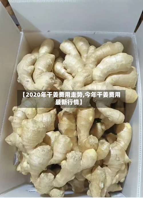 【2020年干姜费用走势,今年干姜费用最新行情】-第2张图片