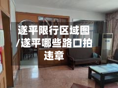遂平限行区域图/遂平哪些路口拍违章-第2张图片