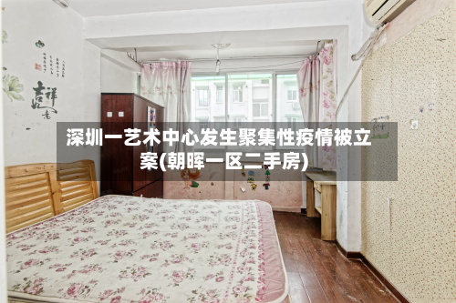 深圳一艺术中心发生聚集性疫情被立案(朝晖一区二手房)-第3张图片