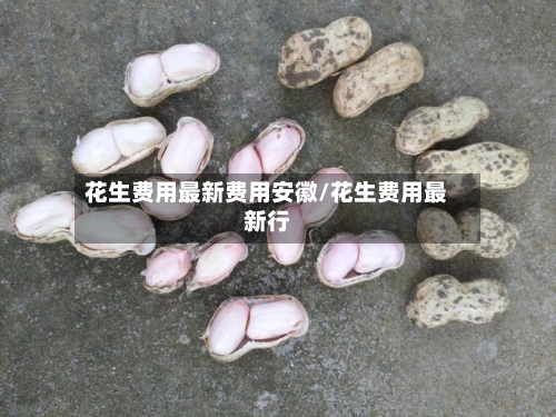 花生费用最新费用安徽/花生费用最新行