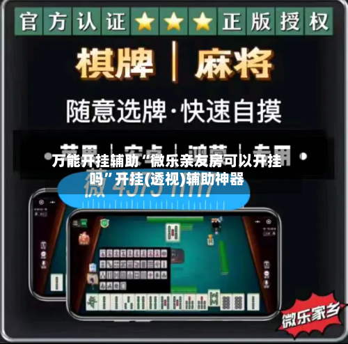 万能开挂辅助“微乐亲友房可以开挂吗”开挂(透视)辅助神器-第2张图片