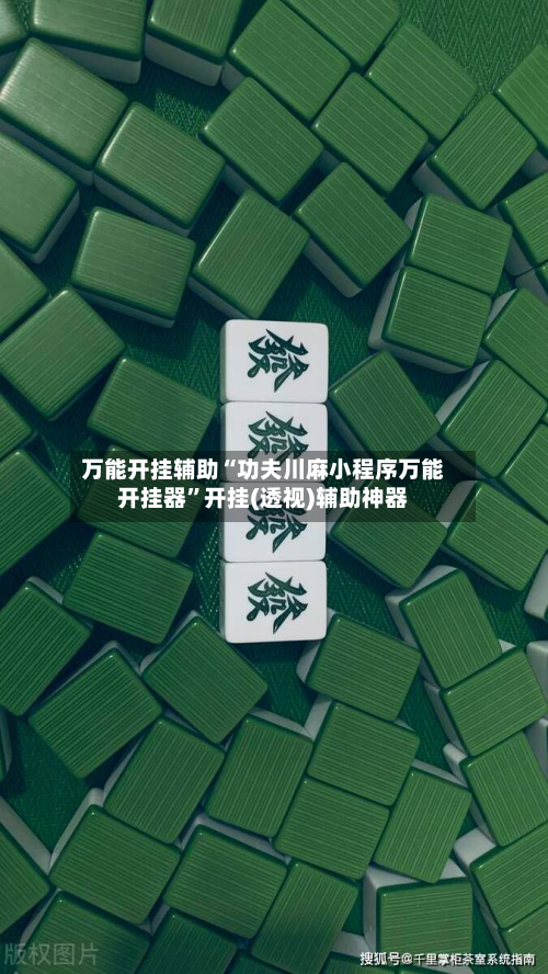 万能开挂辅助“功夫川麻小程序万能开挂器”开挂(透视)辅助神器-第2张图片