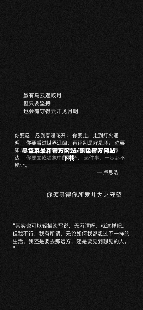 黑色系最新官方网站/黑色官方网站下载-第2张图片