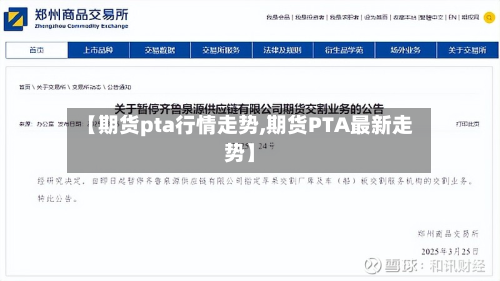 【期货pta行情走势,期货PTA最新走势】