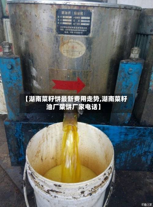 【湖南菜籽饼最新费用走势,湖南菜籽油厂菜饼厂家电话】-第2张图片