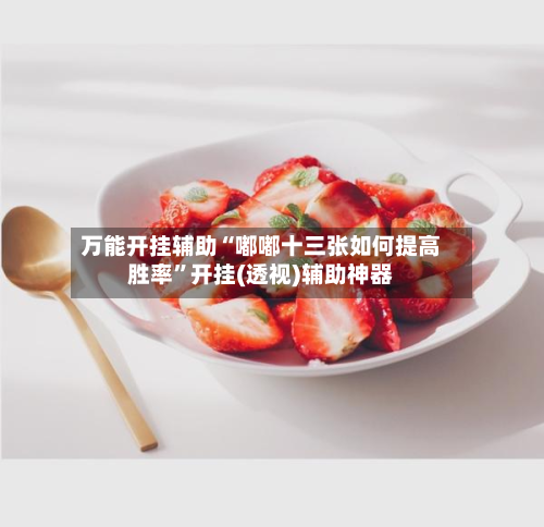 万能开挂辅助“嘟嘟十三张如何提高胜率”开挂(透视)辅助神器-第2张图片