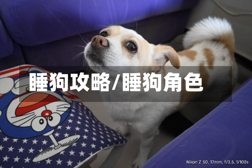 睡狗攻略/睡狗角色