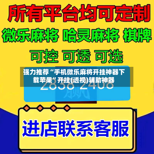 强力推荐“手机微乐麻将开挂神器下载苹果”开挂(透视)辅助神器-第3张图片