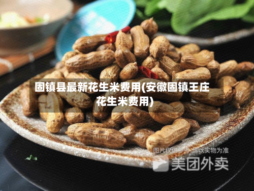 固镇县最新花生米费用(安徽固镇王庄花生米费用)-第2张图片