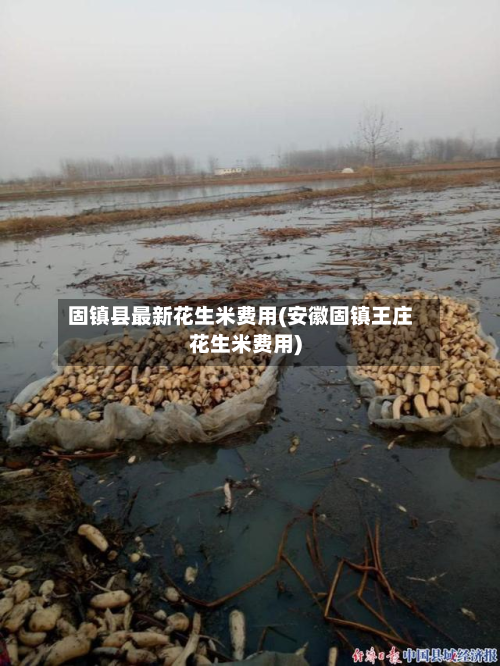 固镇县最新花生米费用(安徽固镇王庄花生米费用)