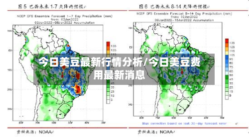 今日美豆最新行情分析/今日美豆费用最新消息
