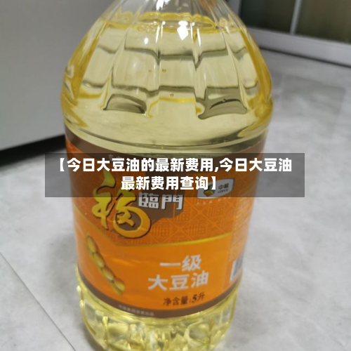【今日大豆油的最新费用,今日大豆油最新费用查询】