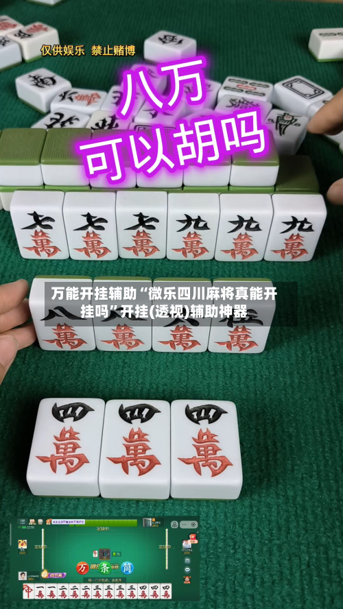 万能开挂辅助“微乐四川麻将真能开挂吗”开挂(透视)辅助神器-第2张图片