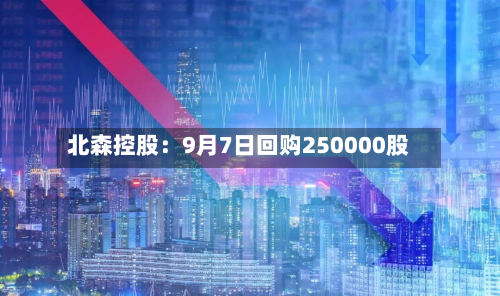 北森控股：9月7日回购250000股-第2张图片