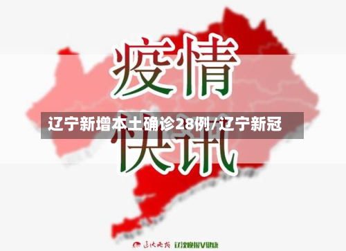 辽宁新增本土确诊28例/辽宁新冠-第3张图片