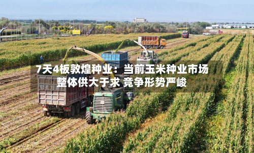 7天4板敦煌种业：当前玉米种业市场整体供大于求 竞争形势严峻