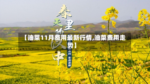 【油菜11月费用最新行情,油菜费用走势】