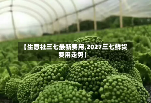 【生意社三七最新费用,2027三七鲜货费用走势】