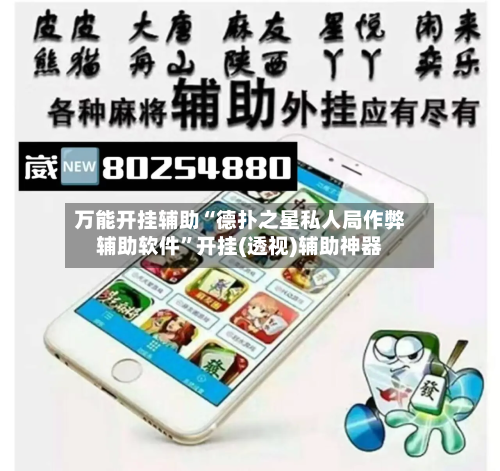 万能开挂辅助“德扑之星私人局作弊辅助软件”开挂(透视)辅助神器-第2张图片