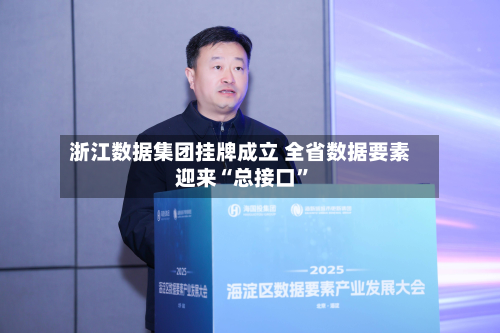 浙江数据集团挂牌成立 全省数据要素迎来“总接口”