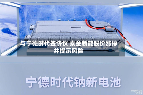 与宁德时代签协议 泰金新能股价涨停并提示风险-第2张图片