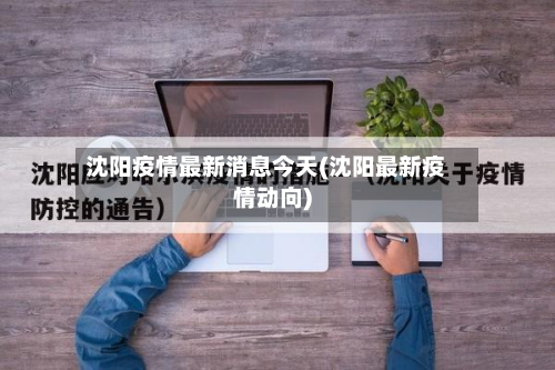 沈阳疫情最新消息今天(沈阳最新疫情动向)-第2张图片