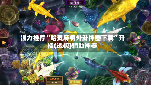 强力推荐“哈灵麻将外卦神器下载”开挂(透视)辅助神器-第2张图片