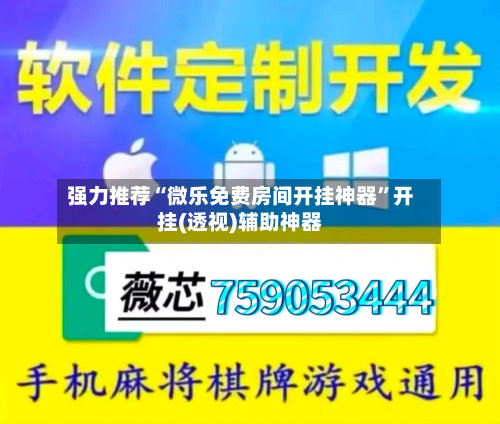 强力推荐“微乐免费房间开挂神器	”开挂(透视)辅助神器-第2张图片