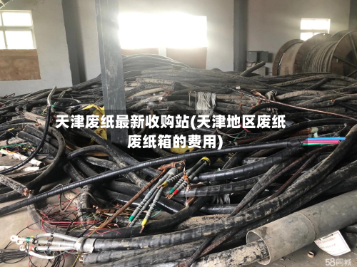 天津废纸最新收购站(天津地区废纸废纸箱的费用)-第2张图片