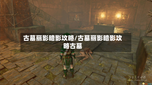 古墓丽影暗影攻略/古墓丽影暗影攻略古墓