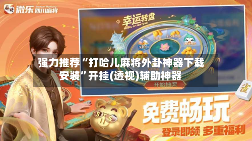 强力推荐“打哈儿麻将外卦神器下载安装”开挂(透视)辅助神器-第3张图片