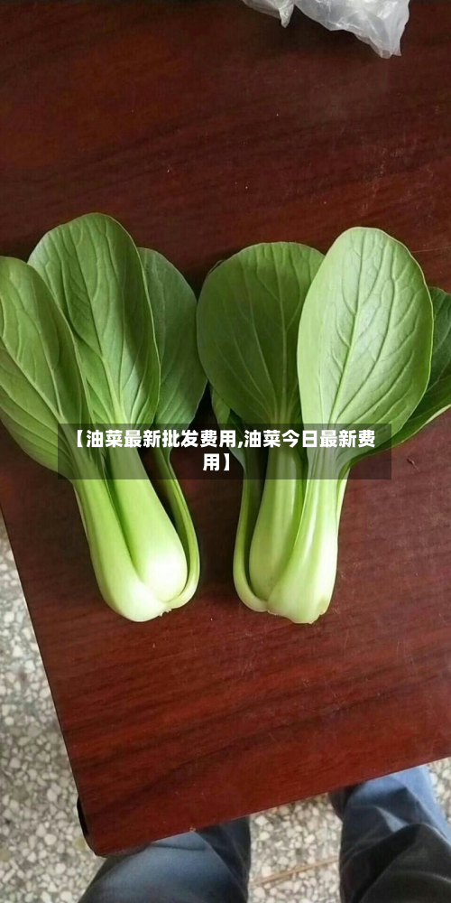 【油菜最新批发费用,油菜今日最新费用】-第3张图片