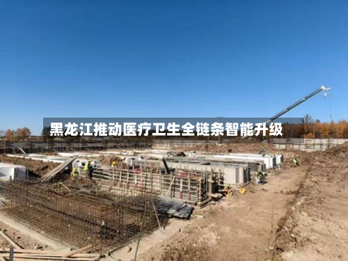 黑龙江推动医疗卫生全链条智能升级-第2张图片