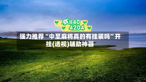 强力推荐“中至麻将真的有挂装吗”开挂(透视)辅助神器-第3张图片