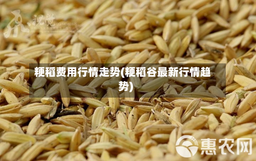 粳稻费用行情走势(粳稻谷最新行情趋势)