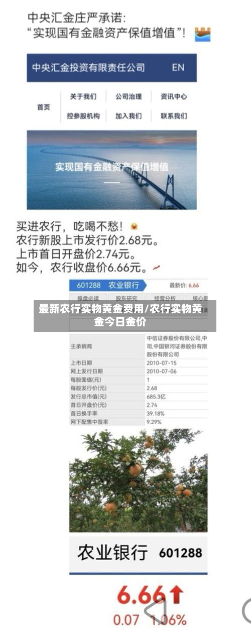 最新农行实物黄金费用/农行实物黄金今日金价-第2张图片