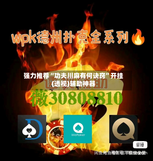 强力推荐“功夫川麻有何诀窍”开挂(透视)辅助神器-第3张图片