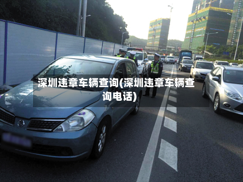 深圳违章车辆查询(深圳违章车辆查询电话)-第2张图片