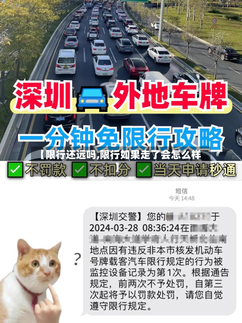 【限行还远吗,限行如果走了会怎么样】-第2张图片
